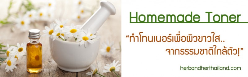 Homemade Toner “ทำโทนเนอร์เพื่อผิวใส..จากธรรมชาติใกล้ตัว!”